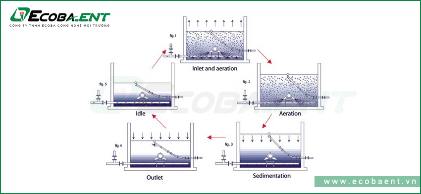 xu-ly-nuoc-thai-bang-phuong-phap-sinh-hoc-5