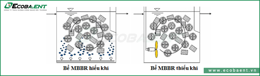 xu-ly-nuoc-thai-bang-phuong-phap-sinh-hoc-4